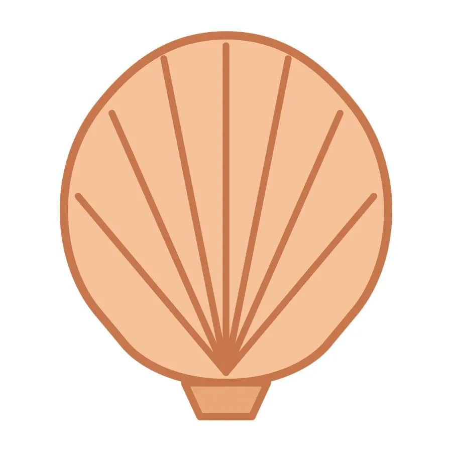 Seashell artwork